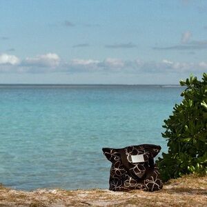 NWOT strait. the label tyvek bag